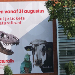 Opening Naturalis Leiden